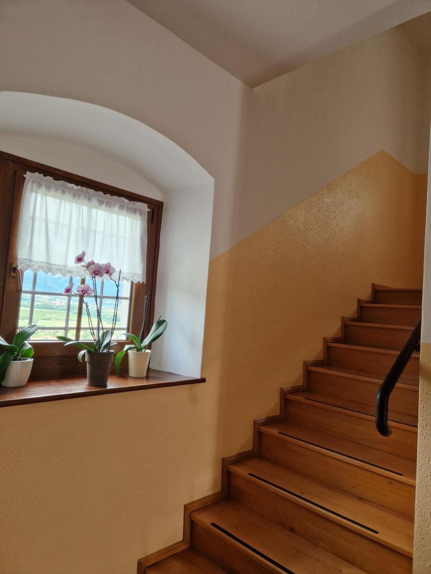 Apartma In Soba Vipavski Kriz Ajdovščina Exteriör bild